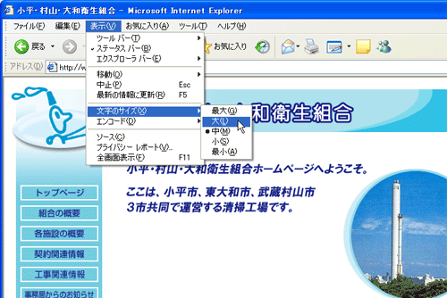 InternetExplorer6̃XN[Vbg